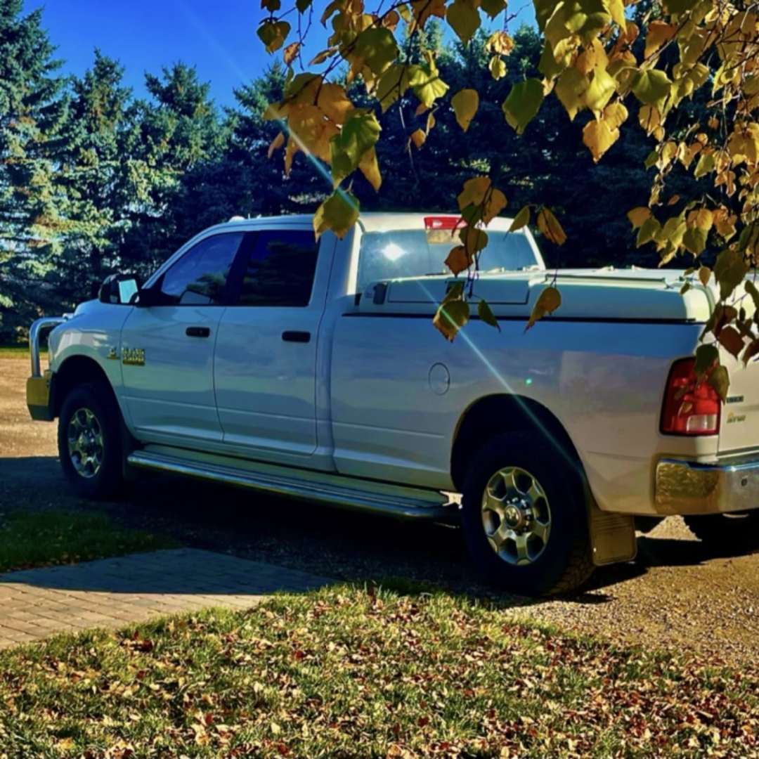 Silver truck under autumn trees